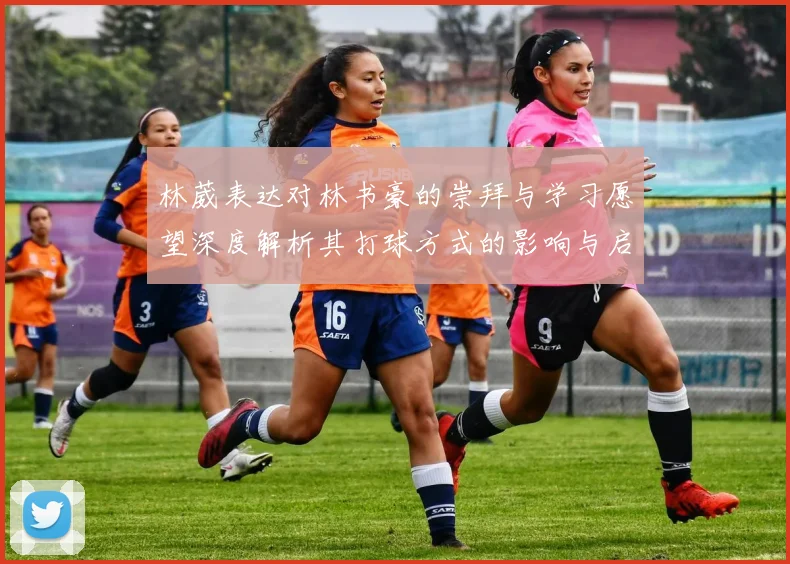 林葳表达对林书豪的崇拜与学习愿望深度解析其打球方式的影响与启发