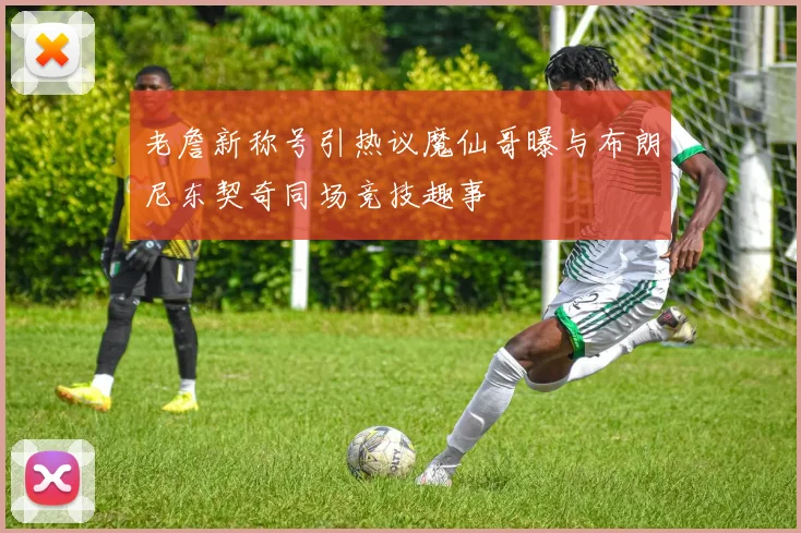 老詹新称号引热议魔仙哥曝与布朗尼东契奇同场竞技趣事
