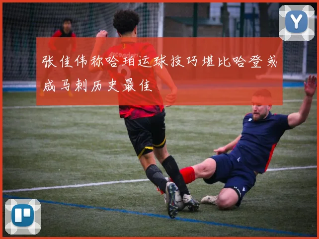 张佳伟称哈珀运球技巧堪比哈登或成马刺历史最佳